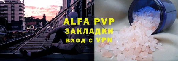 стаф Каменка
