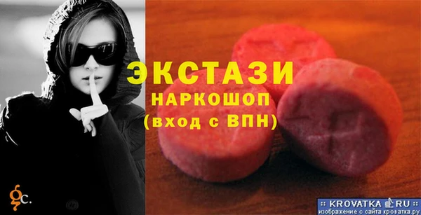 стаф Каменка