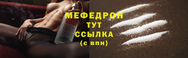 стаф Каменка