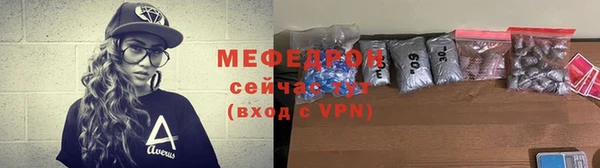 стаф Каменка
