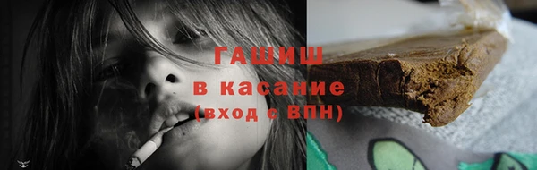 стаф Каменка