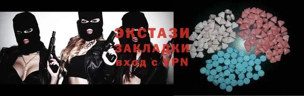 стаф Каменка