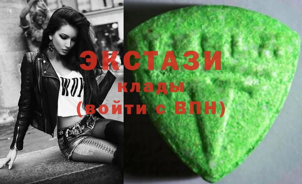 стаф Каменка