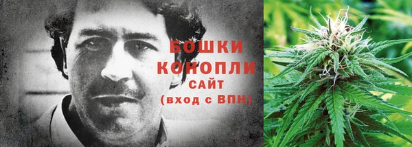 дурь Карпинск