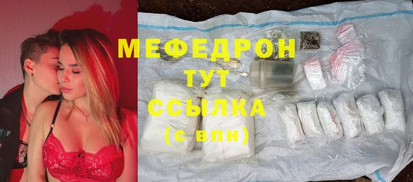 стаф Каменка