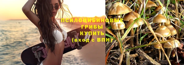 соль курить ск Каменногорск