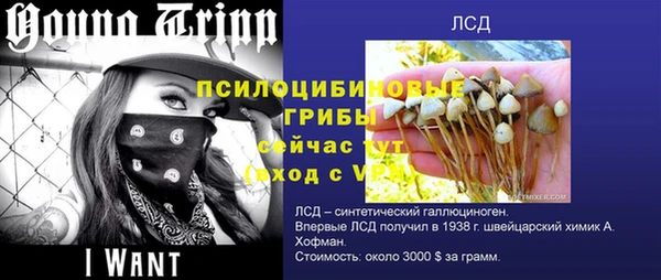 соль курить ск Каменногорск