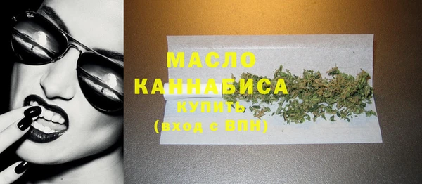 стаф Каменка