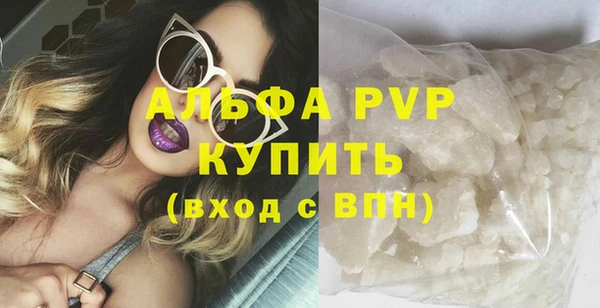 стаф Каменка
