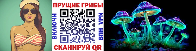 Купить закладки  Звенигово  Галлюциногенные грибы Psilocybine cubensis 