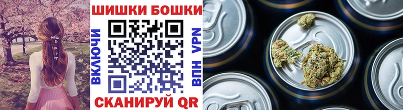 Купить закладки  Звенигово  Каннабис планчик 